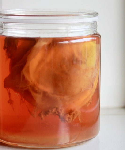 Can Kombucha Make You Sick? Debunking Myths and Understanding the Health Benefits