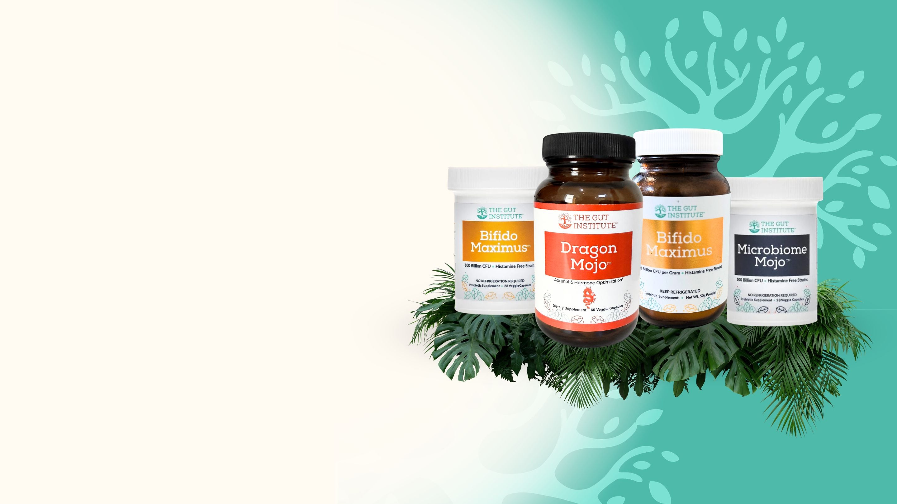 Premium Gut Health Supplements & Probiotics | The Gut Institute Premium Gut Health Supplements & Probiotics | The Gut Institute