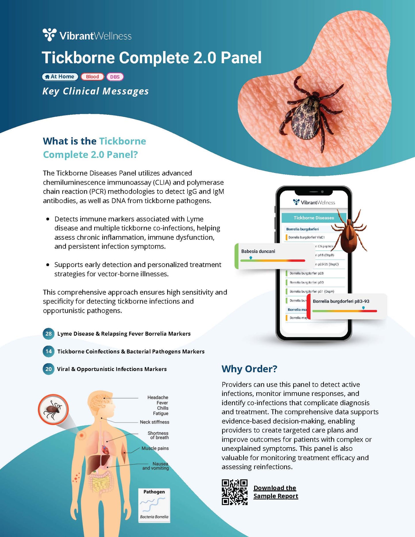 Vibrant- Tickborne Complete 2.0 Panel