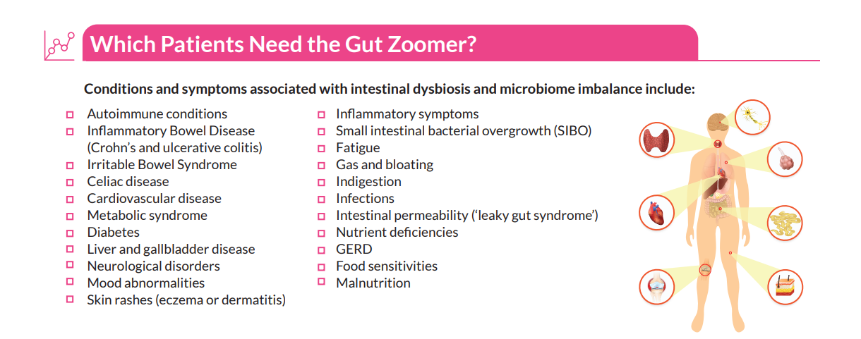 Gut Zoomer 3.0 Complete iApothecary at TheGutInstitute.com