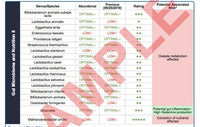 Gut Zoomer 3.0 Complete iApothecary at TheGutInstitute.com