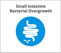 Microbiome Medicine Curriculum - Basic iApothecary at TheGutInstitute.com