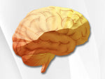 Vibrant Neural Zoomer Plus iApothecary at TheGutInstitute.com